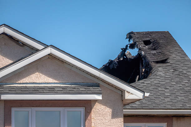 Top rated local Odor Removal specialists in Kent, WA